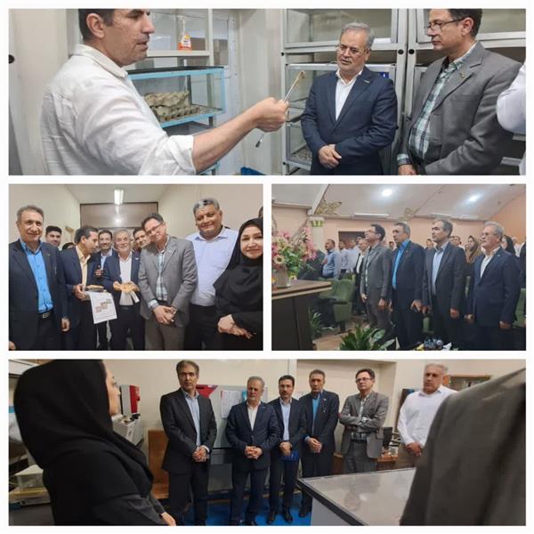 همراهی سرپرست پژوهشكده خرما و میوه های گرمسیری در دومین روز بازدید معاون محترم وزیر از موسسه سرم سازی جنوب غرب رازی و مركز تحقیقات و آموزش كشاورزی و منابع طبیعی خوزستان