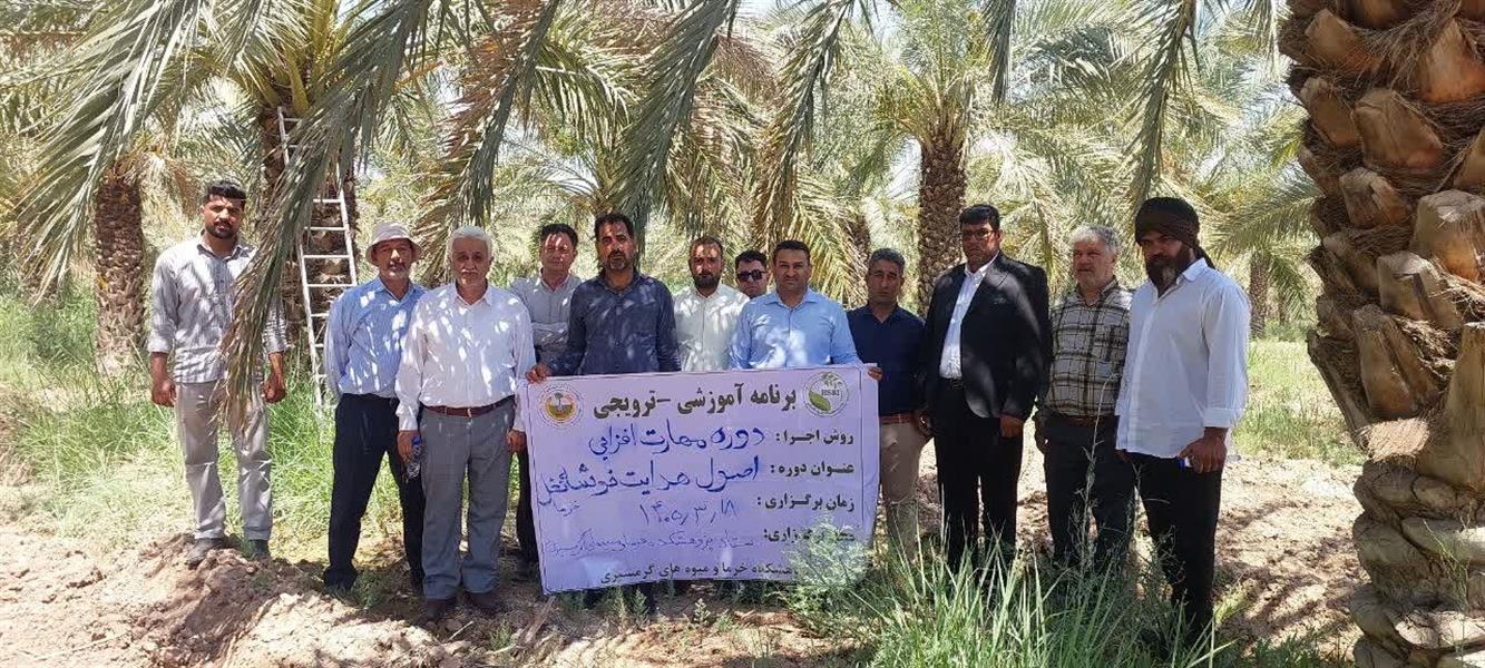 در راستای مهارت افزایی بهره‌برداران در ستاد پژوهشكده خرما و میوه‌های گرمسیری برگزار شد؛