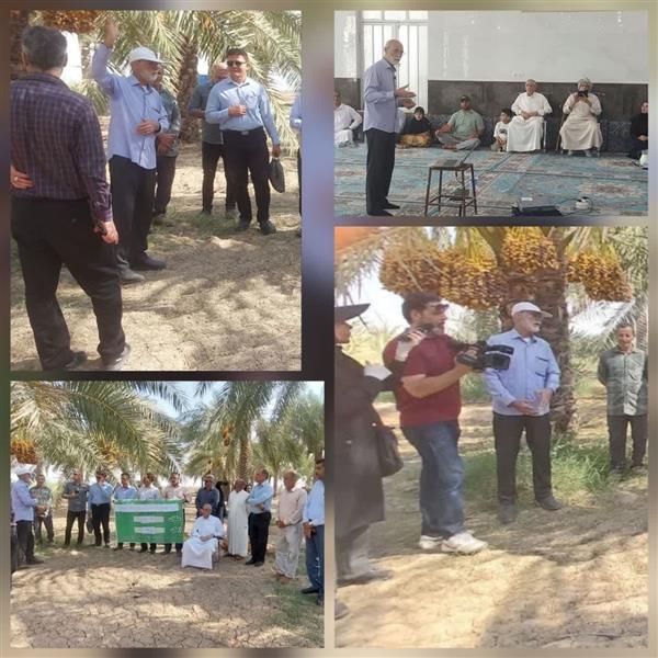 در راستای تحقق شعار سال در سازمان تات «آموزش و ترویج»پژوهشكده خرما و میوه‌های گرمسیری برگزار كرد؛
