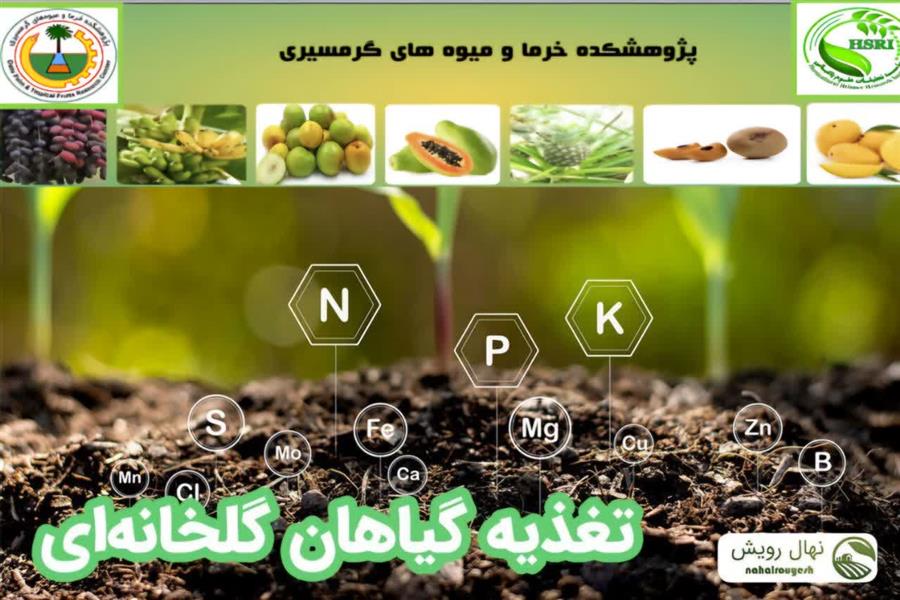 در راستای توسعه دانش تغذیه گیاهی در گلخانه‌ها برگزار شد؛